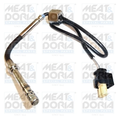 Sensor, exhaust gas temperature
